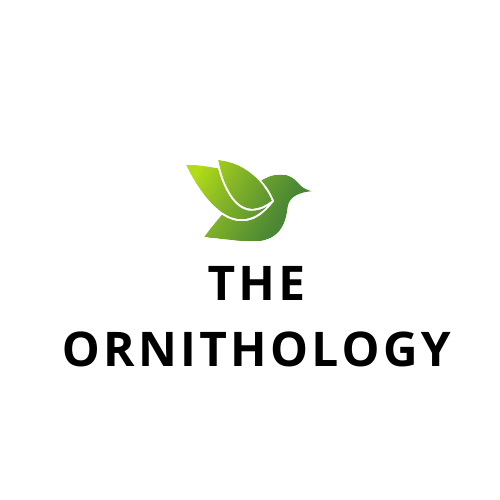 The Ornithology logo
