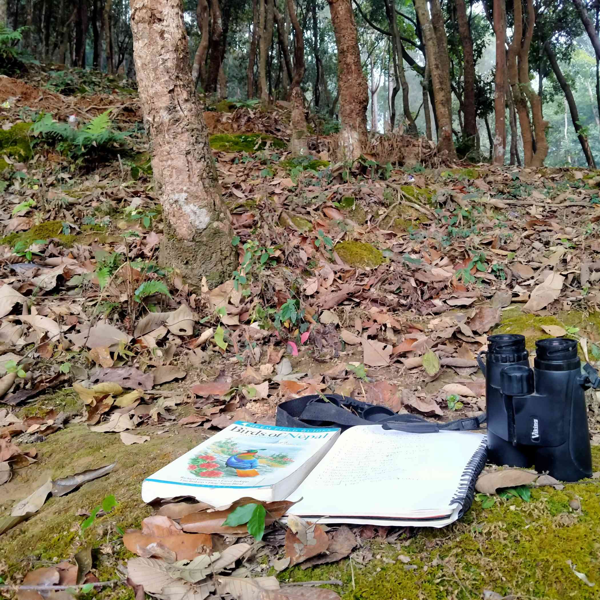 Bird Watching in Nepal