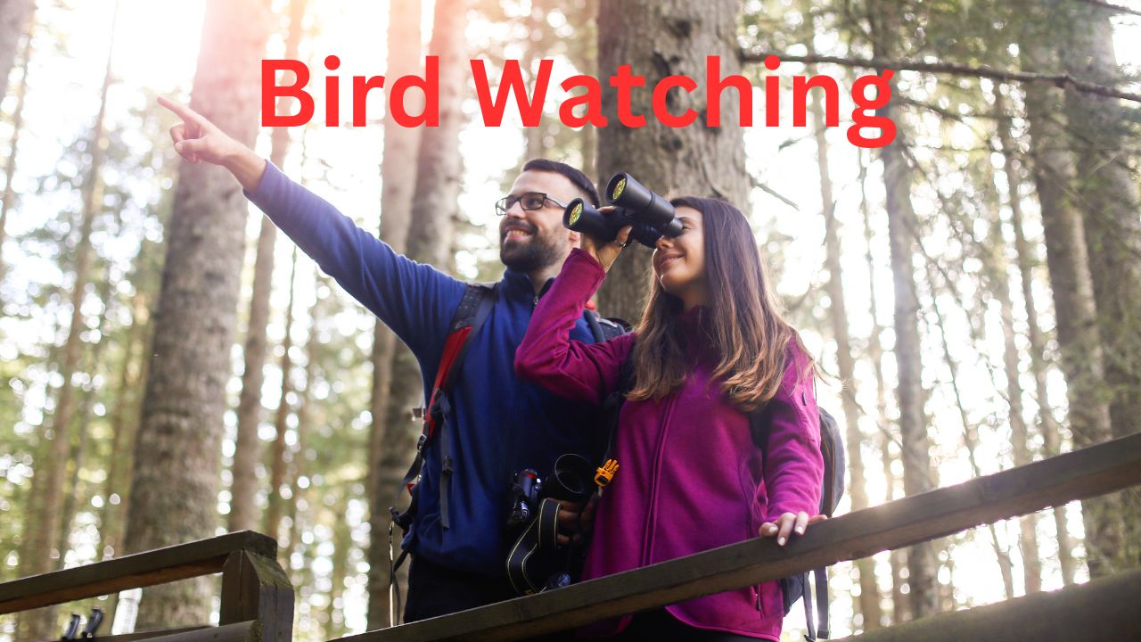 Top 9 Birding Destinations Around the World