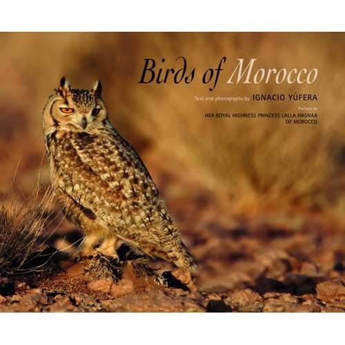 Birds of Morocco