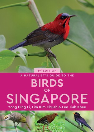Naturalist’s Guide to the Birds of Singapore